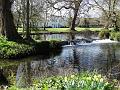 2015-0407-1155_Morden_Hall_Park_16C
